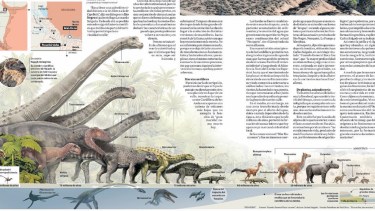Volver al origen de Roca: “milagro” y paisaje que deslumbran desde la Prehistoria
