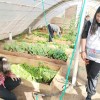 Imagen de La escuela rural del paraje Challacó accedió a la jornada completa