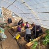 Imagen de En Challacó los niños aprenden de la tierra: la escuela 176 promueve la producción junto a la tecnología