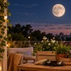 Imagen de Luna de hoy, sábado 12 de septiembre: qué hacer en casa y con las plantas antes de la primavera
