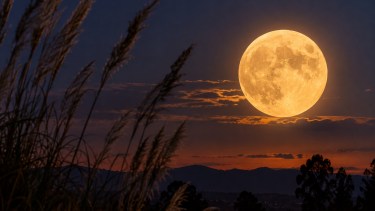 Luna llena de la Cosecha 2026: a qué hora se verá el 26 de septiembre en Argentina