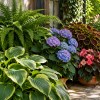 Imagen de Qué plantar donde casi no llega el sol: 7 plantas que pueden transformar ese rincón del jardín