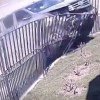 Imagen de Una nena de 11 años se salvó de milagro de ser atropellada después de un choque en Junín de los Andes: el relato de una testigo