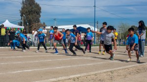 Los Correcaminos tuvieron su torneo de atletismo en la pista de Roca
