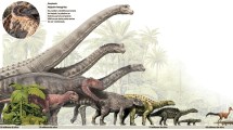 Imagen de Volver al origen de Roca: “milagro” y paisaje que deslumbran desde la Prehistoria