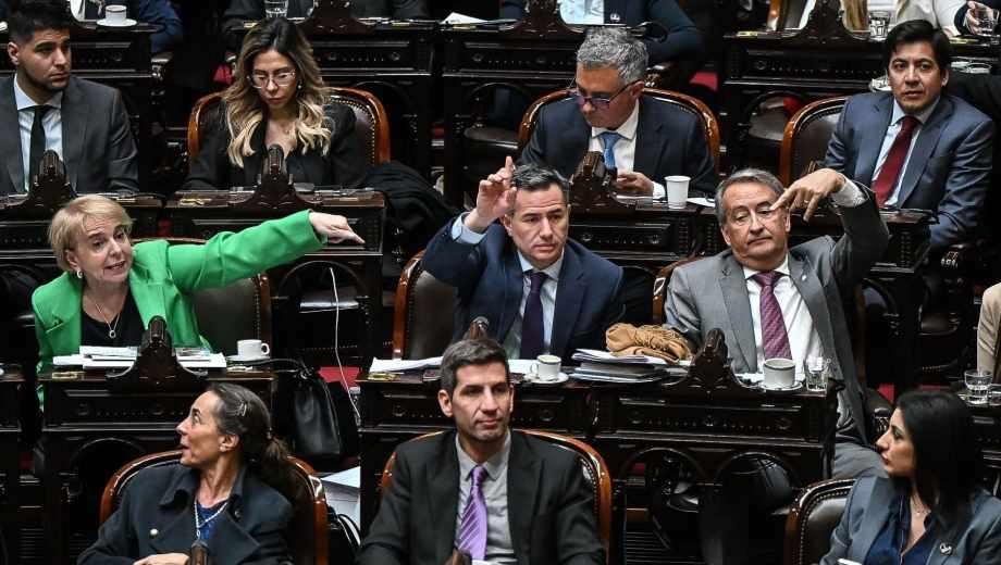 Morosidad y discapacidad: la oposición avanzó en Diputados. Foto: Clarín Fotografía 
