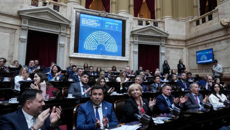El oficialismo busca un dictamen de consenso.