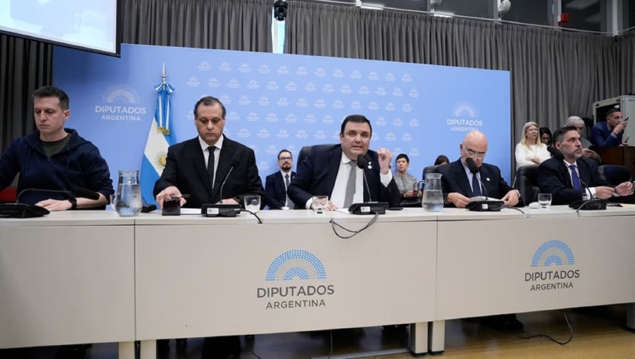 La Libertad Avanza acelera su proyecto de discapacidad. Foto: gentileza 