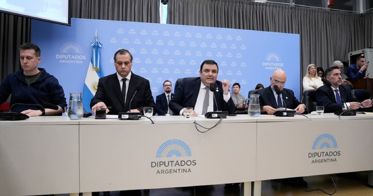 La Libertad Avanza presenta su proyecto sobre discapacidad para frenar la oposición