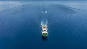 Radiografía del offshore argentino: qué firmas se fueron y cuáles siguen explorando en aguas profundas