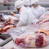 Imagen de Las exportaciones de carne argentina marcaron un récord en 10 años: acumularon USD 3.464 millones hasta julio 2026