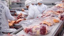 Imagen de Las exportaciones de carne argentina marcaron un récord en 10 años: acumularon USD 3.464 millones hasta julio 2026