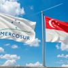 Imagen de El Gobierno promulgó la ley de libre comercio entre Mercosur y Singapur: qué establece el acuerdo