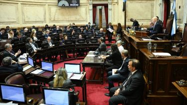 Qué cambia con el proyecto de Biocombustibles que aprobó el Senado: nuevos cortes de bioetanol y biodiésel