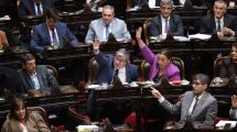 Imagen de Ley de Tierras: la oposición presiona para derogar el «mega» DNU 70 de Javier Milei tras el fallo de la Corte Suprema
