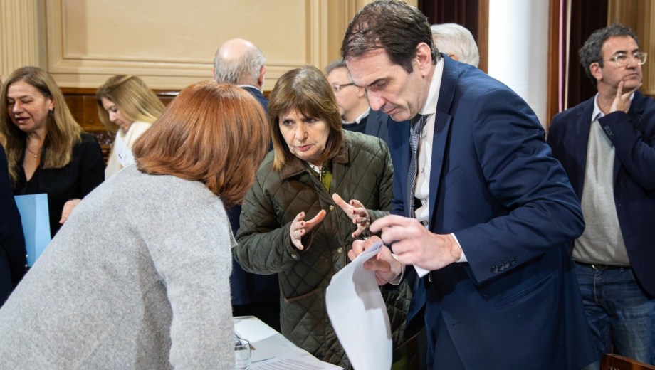 Gobierno convoca a la Comisión de Asuntos Constitucionales en el Senado. Foto: X @PatoBullrich