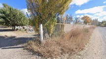 Imagen de Hallazgo de un cuerpo en Lamarque: trasladaron los restos a Roca para evaluar si se puede realizar la autopsia