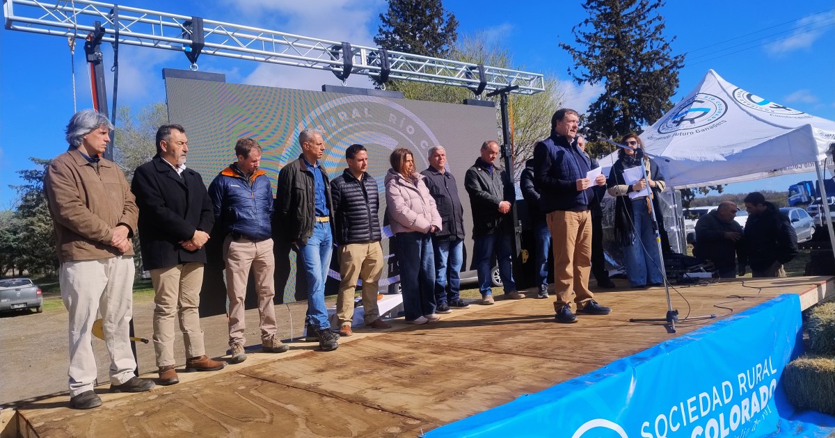 Río Negro pasó de 400.000 a 700.000 bovinos y ahora tiene una nueva Ley de Carnes: el desafío de producir más y generar valor