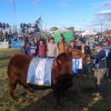 Imagen de Un Angus colorado de cabaña Don Fioto se quedó con el premio mayor en la 13° Nacional Patagónica de la raza que se celebra en Viedma