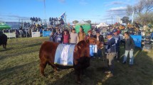 Imagen de Un Angus colorado de cabaña Don Fioto se quedó con el premio mayor en la 13° Nacional Patagónica de la raza que se celebra en Viedma