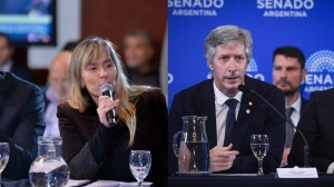 Juliana Di Tullio acusó a Santiago Bausili de mentirle al Senado y afirmó que el oro está en Londres