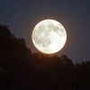Imagen de Luna llena en Aries: cómo impactará en los signos del zodíaco, según Mhoni Vidente