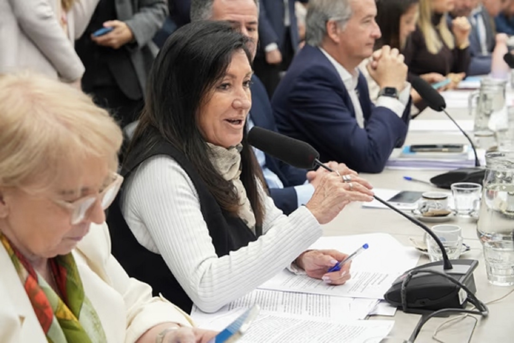 Diputados: La Libertad Avanza logró dictamen de mayoría sobre discapacidad