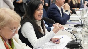 Diputados: La Libertad Avanza logró dictamen de mayoría sobre discapacidad