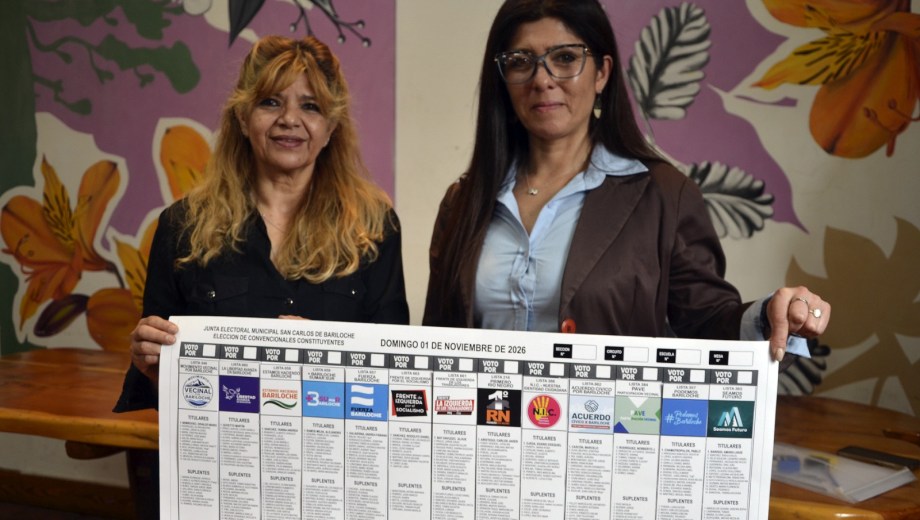 La Boleta Única de Papel tiene su primer borrador y llevará la foto del primer candidato de cada lista. Foto: Chino Leiva