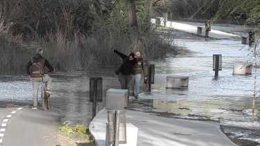 El río Neuquén recupera cauces de hace años: «Estamos con caudales muy elevados»