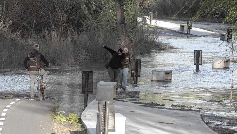 La crecida del río Neuquén avanza sobre la costa. (Foto: Oscar Livera).