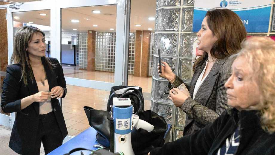 La presidenta de la comisión de Ecología habló en el hall del Concejo con los grupos en defensa de las bardas (foto Emiliano Ortiz)