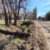 Imagen de Cipolletti: inicia una obra clave para entubar 3.300 metros de canales de desagüe