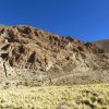 Imagen de Minería en Salta: Latin Metals selló un acuerdo con Aumin para la exploración y eventual venta del proyecto Organullo