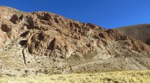 Imagen de Minería en Salta: Latin Metals selló un acuerdo con Aumin para la exploración y eventual venta del proyecto Organullo
