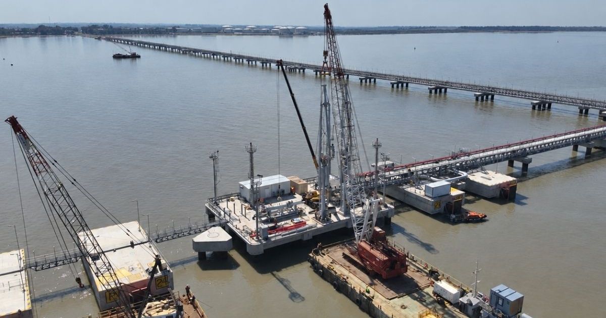 Avanza el Proyecto Rosa Negra en Puerto Rosales con nuevos brazos de carga