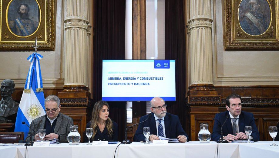 La sesión comenzará a las 11 en un plenario de las comisiones de Energía, Combustibles y Minería, y de Presupuesto y Hacienda. (Prensa Senado)