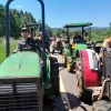 Imagen de Tractorazo yerbatero: productores le entregaron un petitorio a Milei en Misiones