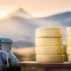 Imagen de Cocineros de Neuquén y Chile se reúnen en la primera Fiesta Provincial del Queso Cordillerano