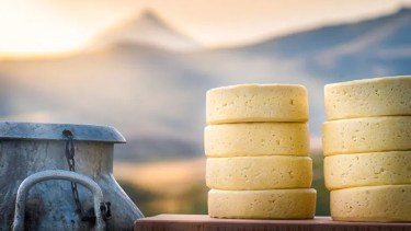 Cocineros de Neuquén y Chile se reúnen en la primera Fiesta Provincial del Queso Cordillerano