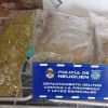 Imagen de Cinco allanamientos en Neuquén por robos en Plottier: secuestraron marihuana, teléfonos e inhibidores