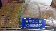 Imagen de Cinco allanamientos en Neuquén por robos en Plottier: secuestraron marihuana, teléfonos e inhibidores