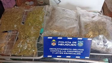Cinco allanamientos en Neuquén por robos en Plottier: secuestraron marihuana, teléfonos e inhibidores