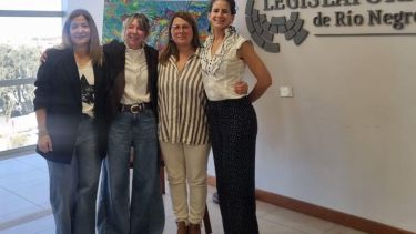 Cuatro mamás de Viedma crearon una guía para acompañar a familias de personas con síndrome de Down