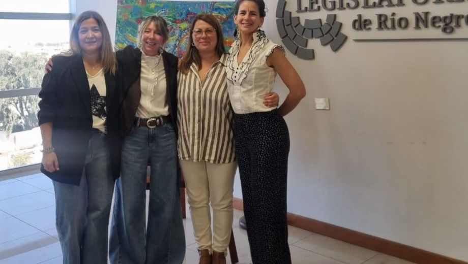 María Luján Correa, Carla Guevara, Paula Casas y Mariana Ferreira son las cuatro madres que impulsaron la guía. Foto gentileza.