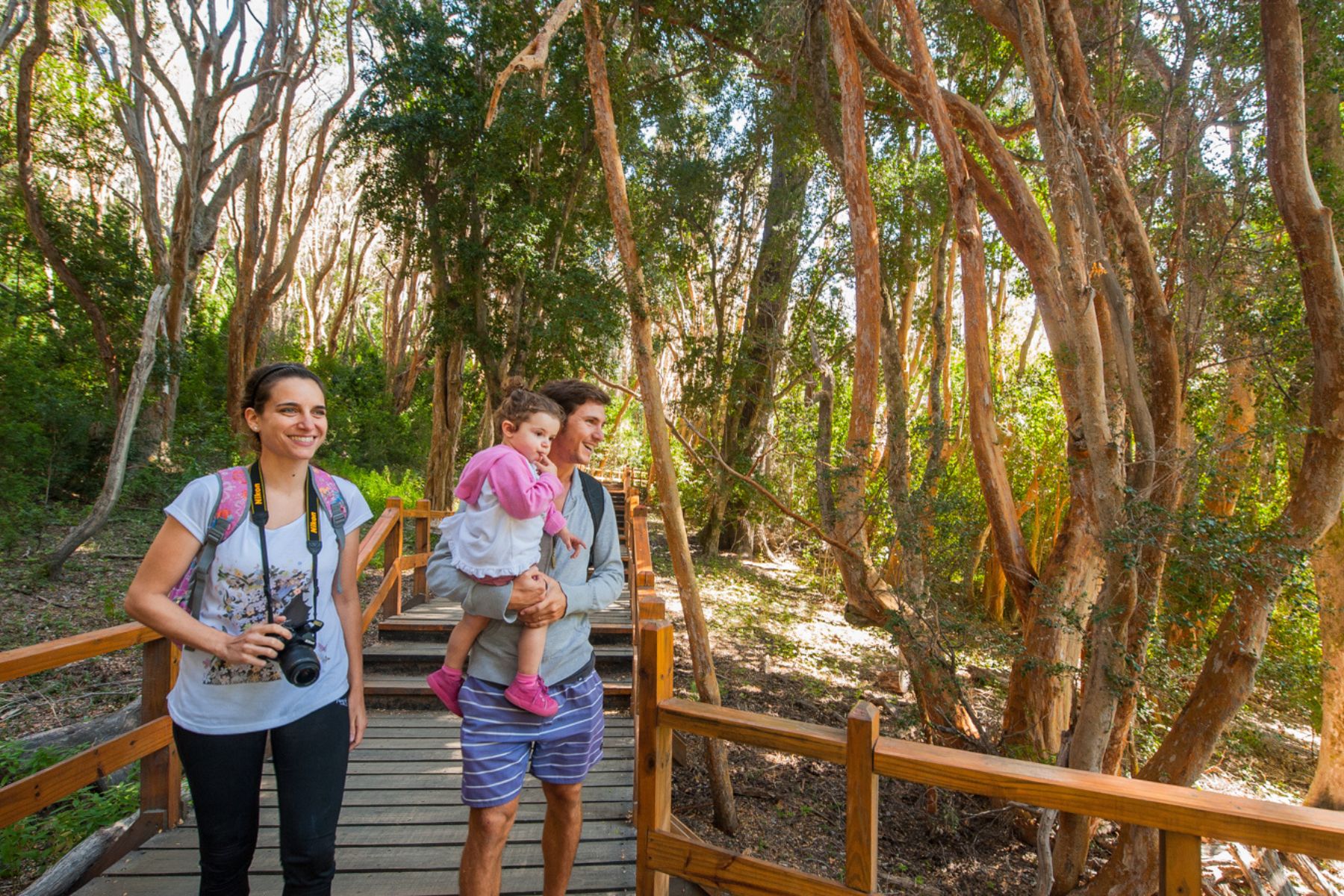 Descubre los Arrayanes en Villa La Angostura: Tres formas de explorarlos