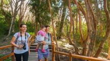 Imagen de ¡Corramos al bosque! Tres maneras de descubrir los Arrayanes de Villa La Angostura esta primavera