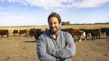 Imagen de Cebolla en la Patagonia: empezó con unas hectáreas y hoy combina producción comercial, cultivos y ganadería