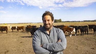 Cebolla para vender, cultivos para alimentar y ganado para engordar: así una familia produce en la Patagonia