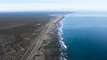 Tiburones en Río Negro: el monitoreo en el Golfo San Matías ya identificó cinco especies amenazadas